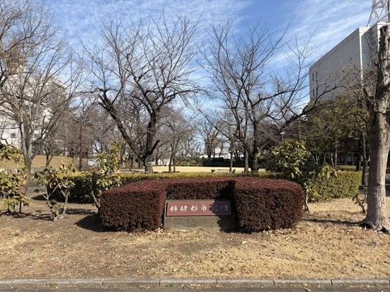 apartment 群馬県高崎市常盤町
地図を見る