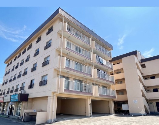 apartment 千葉県習志野市東習志野５丁目19-17 宮澤マンションC号室