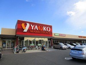 apartment 千葉県習志野市東習志野５丁目19-17 宮澤マンションC号室