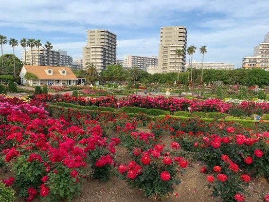 apartment 千葉県習志野市東習志野５丁目19-17 宮澤マンションC号室