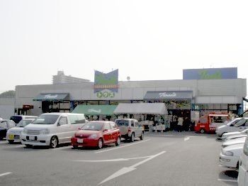 apartment 千葉県習志野市東習志野５丁目19-17 宮澤マンションC号室