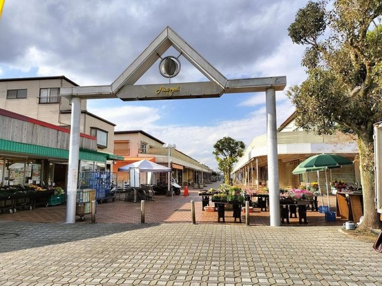 apartment 千葉県習志野市東習志野５丁目19-17 宮澤マンションC号室