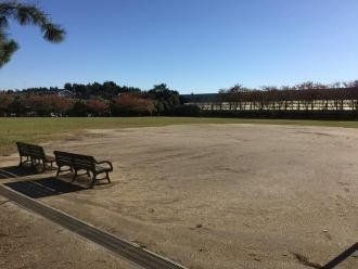 detached 千葉県習志野市東習志野５丁目19-17 宮澤マンションC号室