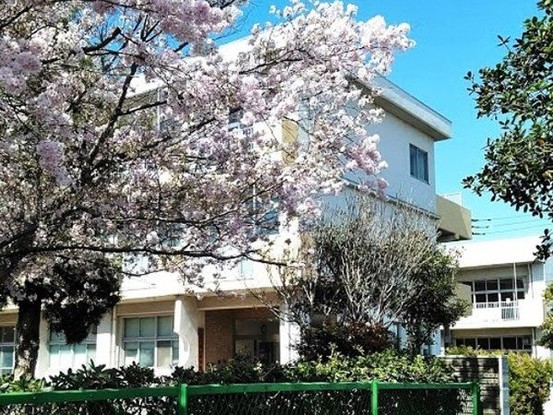 apartment 千葉県習志野市東習志野５丁目19-17 宮澤マンションC号室