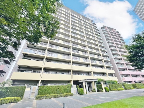 apartment 千葉県柏市柏4-8-14 柏染谷ビル８階