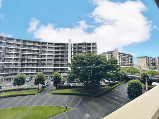 apartment 千葉県柏市柏4-8-14 柏染谷ビル８階