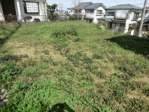 横浜市磯子区栗木の宅地の外観