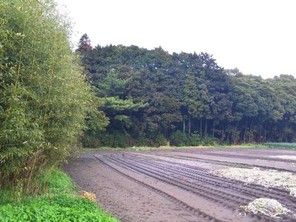 山武郡横芝光町宮川の外観