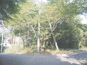 南箱根ダイヤランドの外観