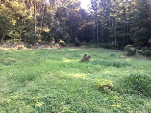 伊勢市常磐町 売地の外観