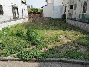 江戸川区大杉の宅地の外観