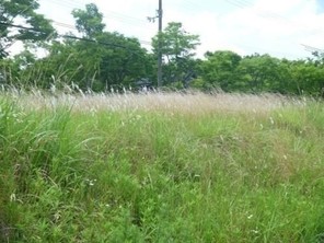 売土地 河内長野市 清見台の外観