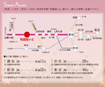 【ダイワハウス】セキュレア聖蹟桜ヶ丘II (建築条件付宅地分譲)のその他