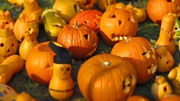 本番間近 ハロウィン飾りのトレンドは ヨムーノ