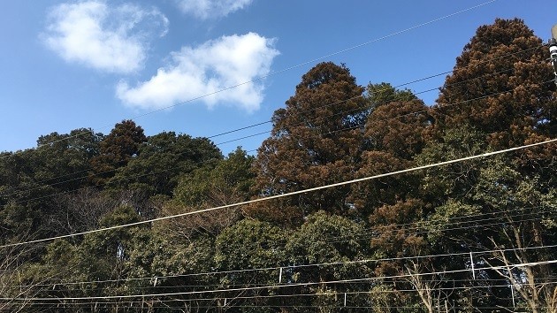 王道にはない良さがある!“裏市原”おすすめスポット「3選」