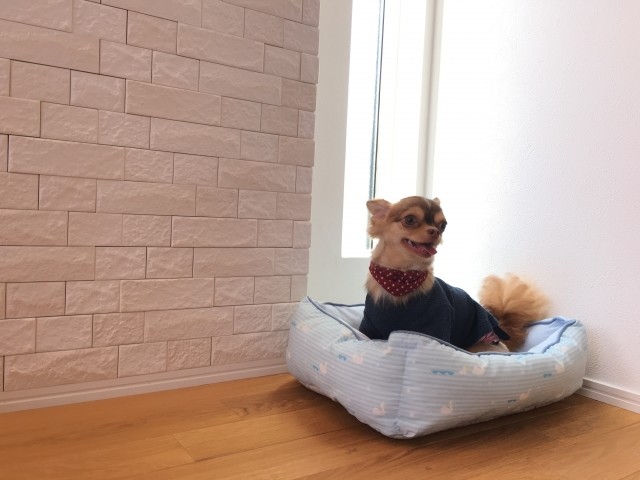 多彩な施工例まとめ ニオイや有害な物質を低減するインテリア壁材 エコカラット とは