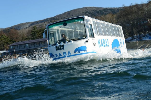 山中湖周辺をカバが走る 水陸両用 カババス スペシャルハロウィン号 が1便だけの特別運行 ヨムーノ