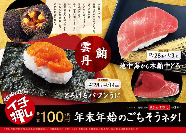 かっぱ寿司さん太っ腹 バフンうに 本鮪中トロ の高級ネタがなんと1貫100円 ヨムーノ