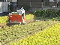 不動産の22年問題とは 生産緑地の指定解除でマンションが林立 地価が下落