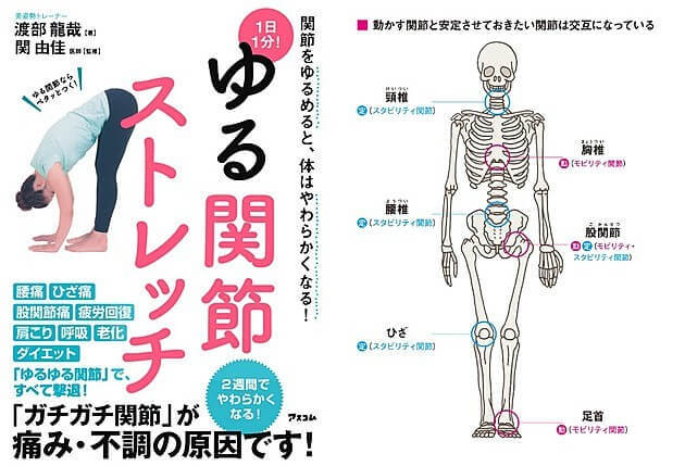 未だ謎の多い 腰痛の原因 に迫る 実は ガチガチ股関節 が諸悪の根源だった ヨムーノ