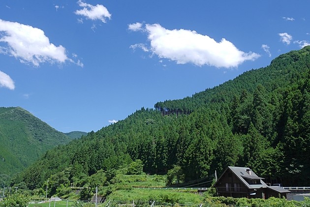 田舎の土地を売りたい!売れない理由と上手に売却する方法とは?