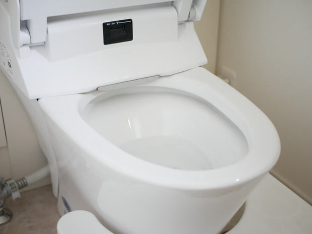 風水的にも トイレ 掃除は念入りに ウォシュレット は100均で買えるメイク用品でキレイに ヨムーノ