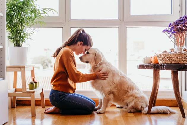 犬の鳴き声でクレームが 放置していると賠償金も 迅速な謝罪と対応策4選 ヨムーノ