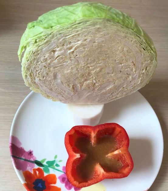 平野レミさん 春キャベツを美味しく食べられるやみつきレシピ 作ってみた ヨムーノ