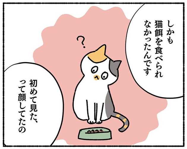 漫画 保護猫が抱える悲しい背景 いよいよ運命の抽選 ねこ活はじめました ヨムーノ