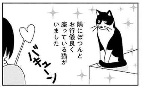 漫画 我が家に猫がやってくる 米子さんを迎えるまでのストーリー ビビり猫 米子さんに懐かれたい ヨムーノ