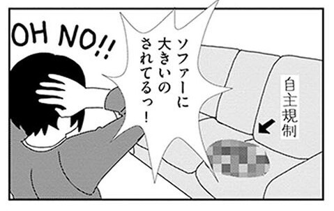 漫画 憧れとなんか違う ソファに 夜鳴き 猫との暮らしはトラブル続き ビビり猫 米子さんに懐かれたい ヨムーノ