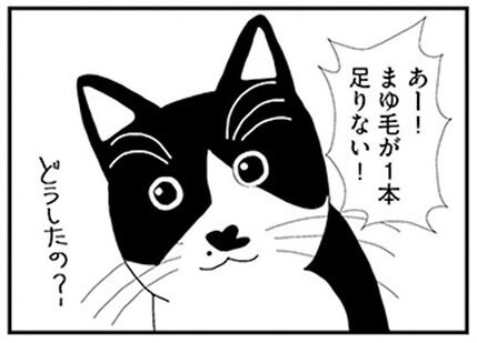 漫画 猫とは愛しき生き物 一緒に暮らして初めて知った猫の習性 ビビり猫 米子さんに懐かれたい ヨムーノ 漫画 猫とは愛しき生き物 一緒に暮らして初めて知った猫の習性 ビビり猫 米子さんに懐かれたい ヨムーノ