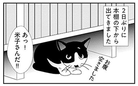 漫画 うちの猫は一体どこ 姿を見せない猫に飼い主がとった斜め上の発想 ビビり猫 米子さんに懐かれたい ヨムーノ
