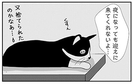漫画 まさかの展開 お泊り体験で訪れた米子さんの意外な変化 ビビり猫 米子さんに懐かれたい ヨムーノ