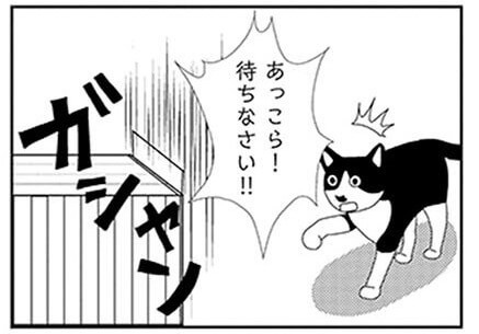 漫画 どうしてこんなに懐かない 米子さんが保護された時のこと ビビり猫 米子さんに懐かれたい ヨムーノ