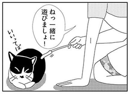 漫画 愛しさ故 どこまでもかみ合わない猫と飼い主の日々 ビビり猫 米子さんに懐かれたい ヨムーノ