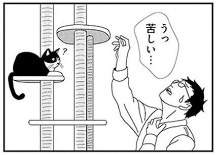 漫画 飼い猫に好かれたい なかなか報われない飼い主のあの手この手 ビビり猫 米子さんに懐かれたい ヨムーノ