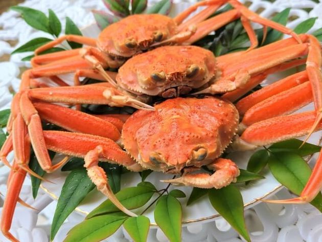 旨味と甘味じゅわ 鮮度バツグン 蟹のお取り寄せbest6 選び方のポイントも解説 ヨムーノ