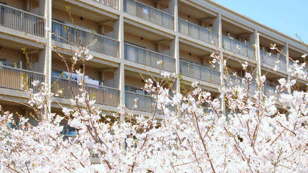 ワンルームで二人暮らしはできるの ヨムーノ