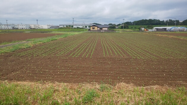 畑土・残土あげます 募集中 - 栃木県のその他