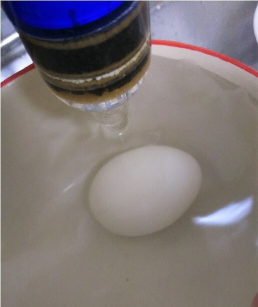 失敗しない ゆで卵の殻 が簡単にむけるテク 管理栄養士が実演 ヨムーノ