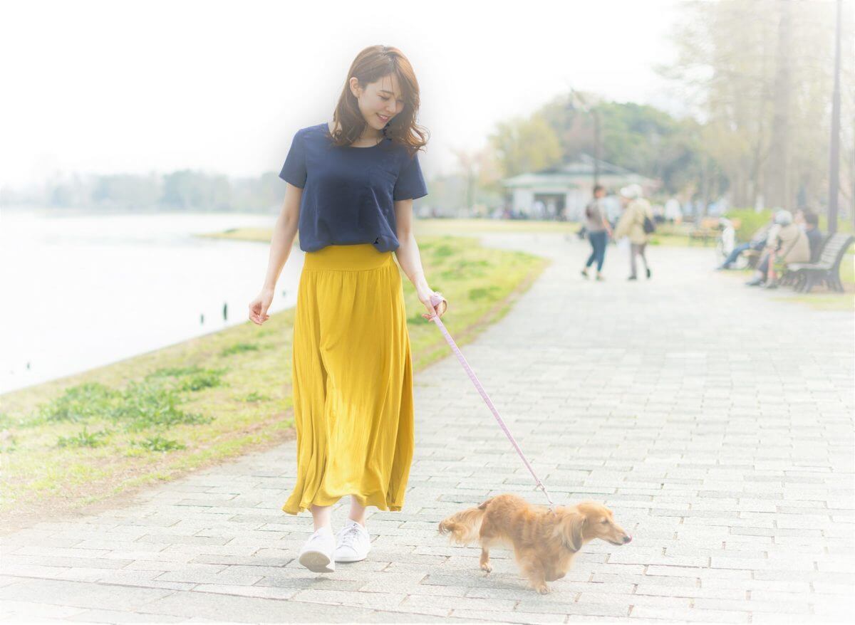 愛犬が散歩から帰りたくない仕草とは 家に帰るためのngな方法とgoodな方法とは ヨムーノ