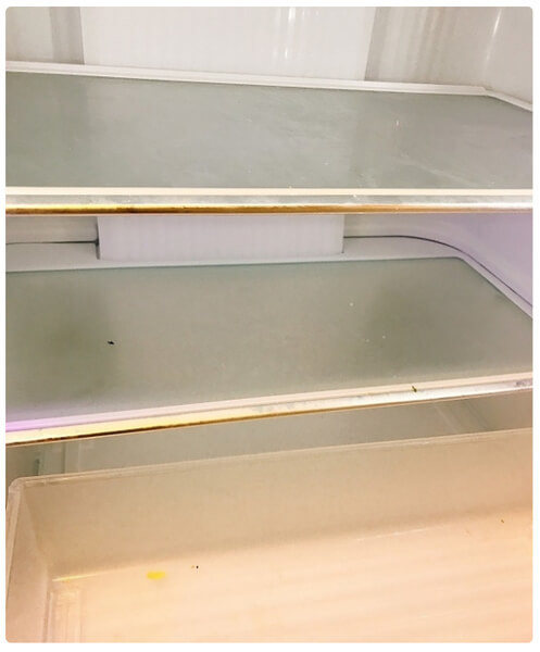 冷蔵庫の掃除5