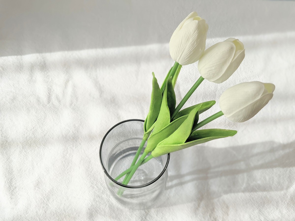 スリーコインズ オーロラフラワーベース チューリップ 3本セット で叶える春インテリア ヨムーノ スリーコインズ オーロラフラワーベース チューリップ 3本セット で叶える春インテリア ヨムーノ