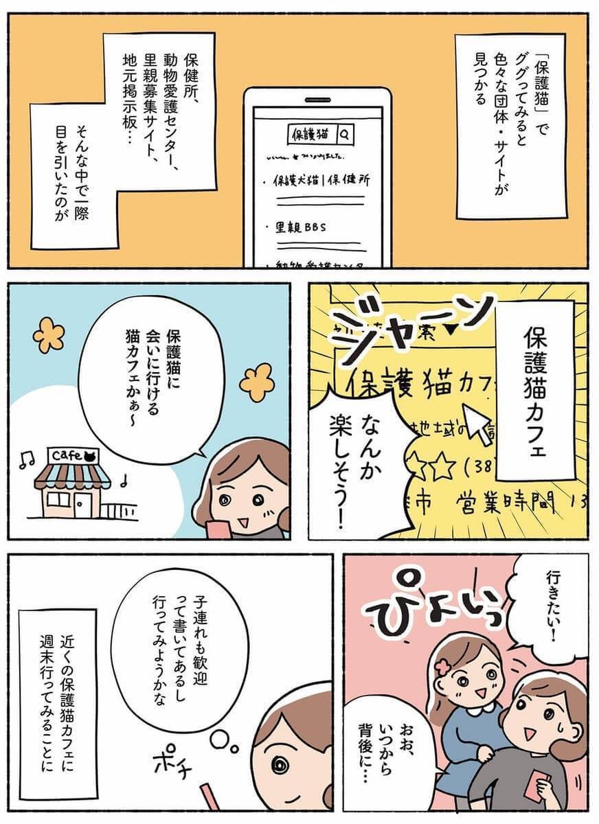 漫画 たくさんの猫に会える 保護猫カフェ とは ねこ活はじめました ヨムーノ