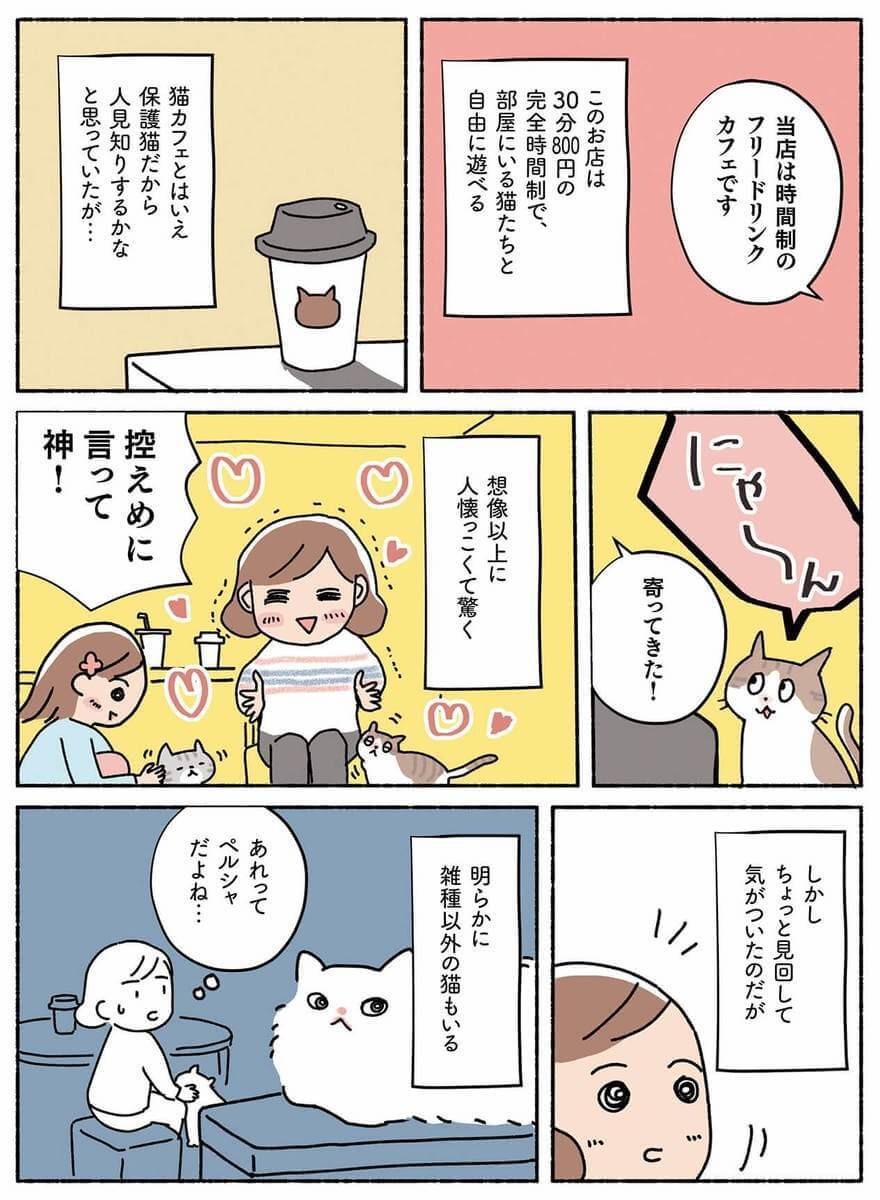 漫画 たくさんの猫に会える 保護猫カフェ とは ねこ活はじめました ヨムーノ