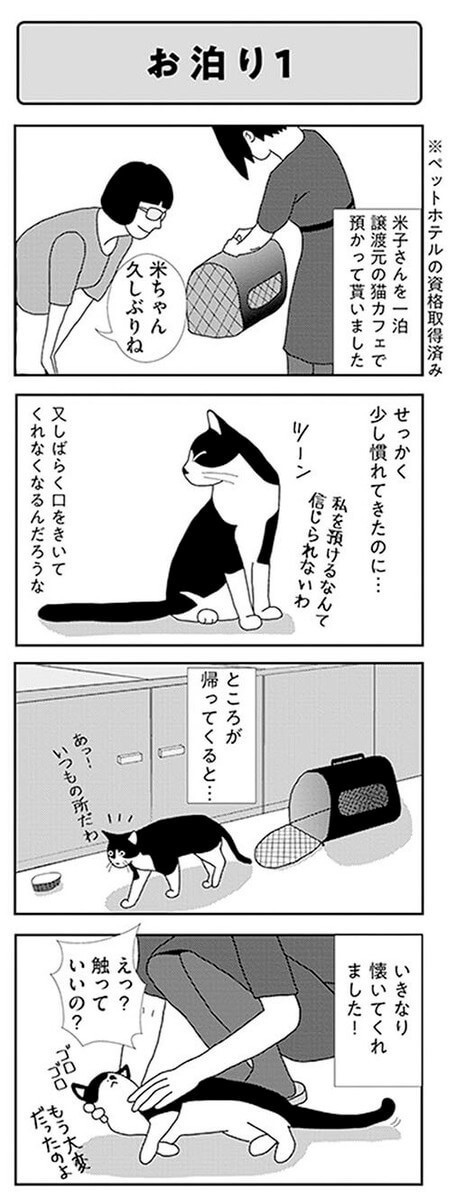 漫画 まさかの展開 お泊り体験で訪れた米子さんの意外な変化 ビビり猫 米子さんに懐かれたい ヨムーノ