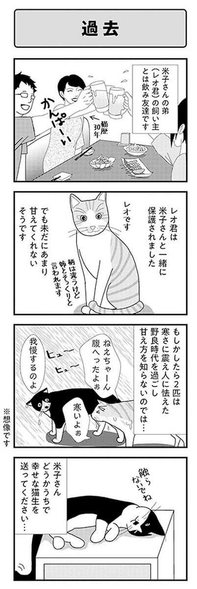 漫画 どうしてこんなに懐かない 米子さんが保護された時のこと ビビり猫 米子さんに懐かれたい ヨムーノ