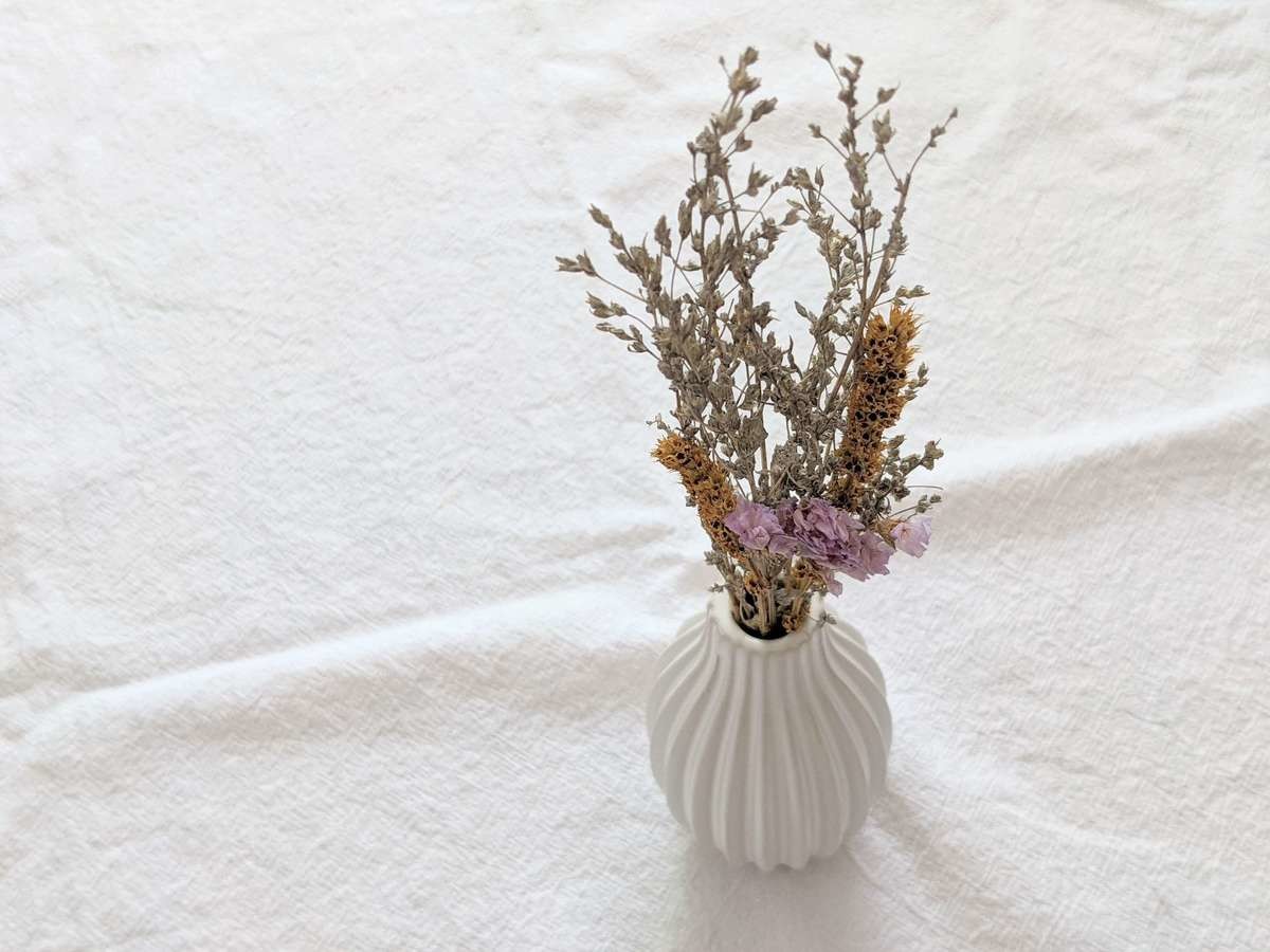 今飛ぶように売れてる 3coins 見つけたら即買い必至 高見え確実 最新トレンド2top くふうlive 今飛ぶように売れてる 3coins 見つけたら即買い必至 高見え確実 最新トレンド2top くふうlive