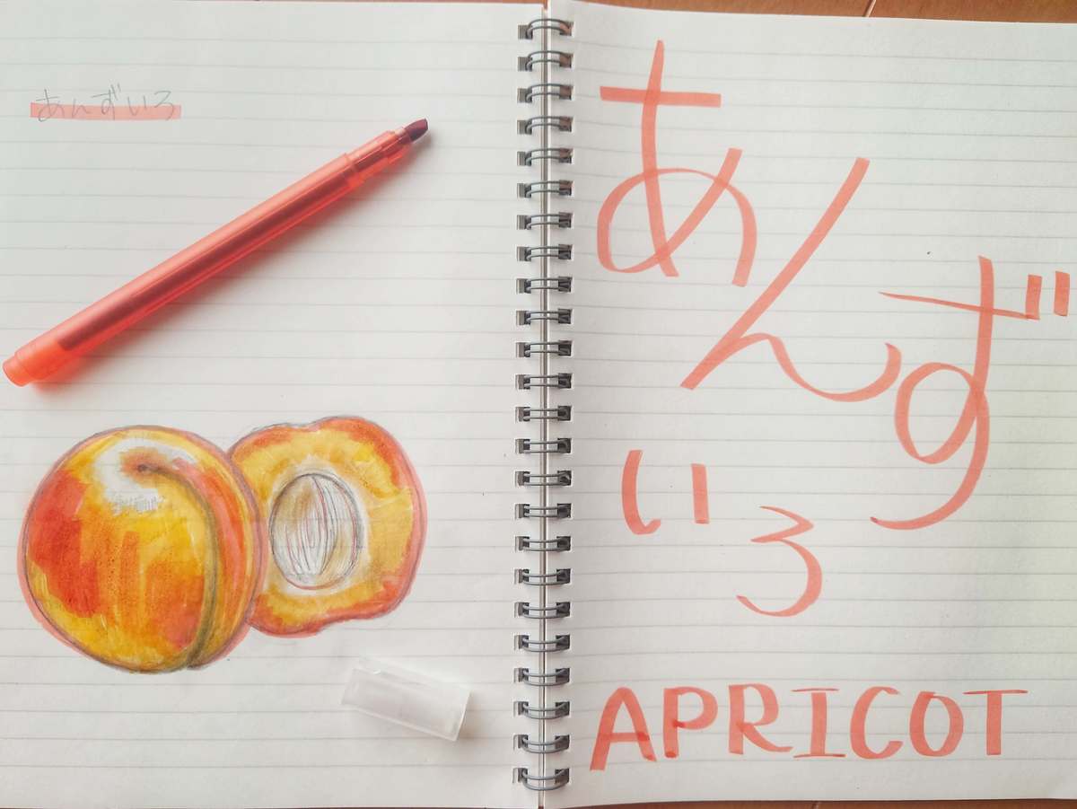 1本50円 って 全コンプ しかない 無印良品 価格破壊文具 ラインマーカー まとめて使ってみた ヨムーノ